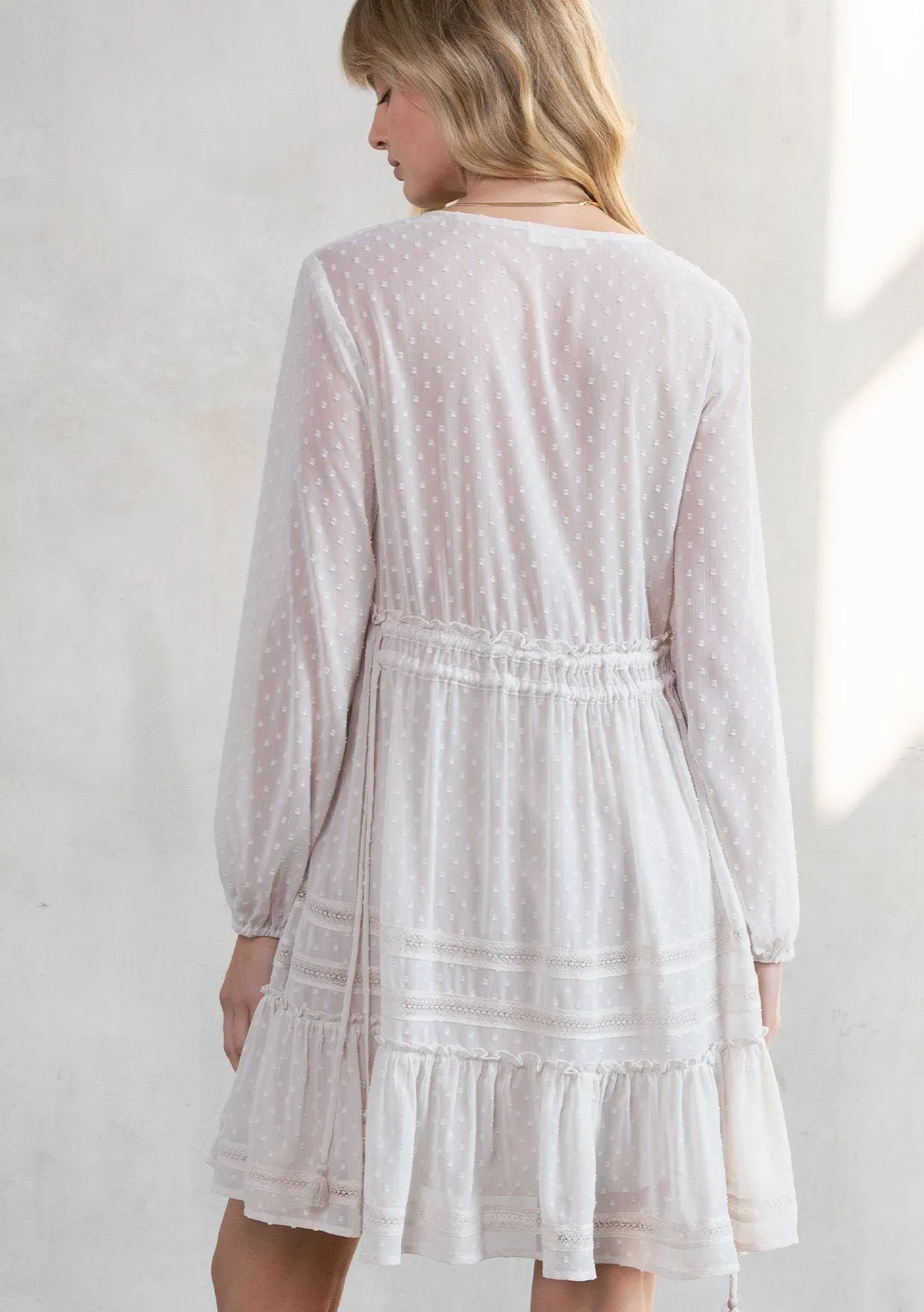 Astrid Chiffon Mini Dress