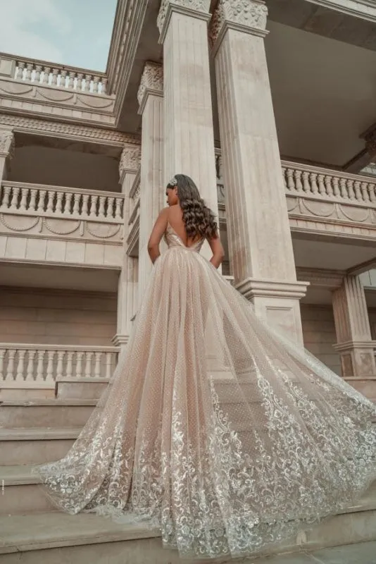 Chic Sleeveless V-Neck Party Dress Aline Backless Prom Dress with Lace Appliques