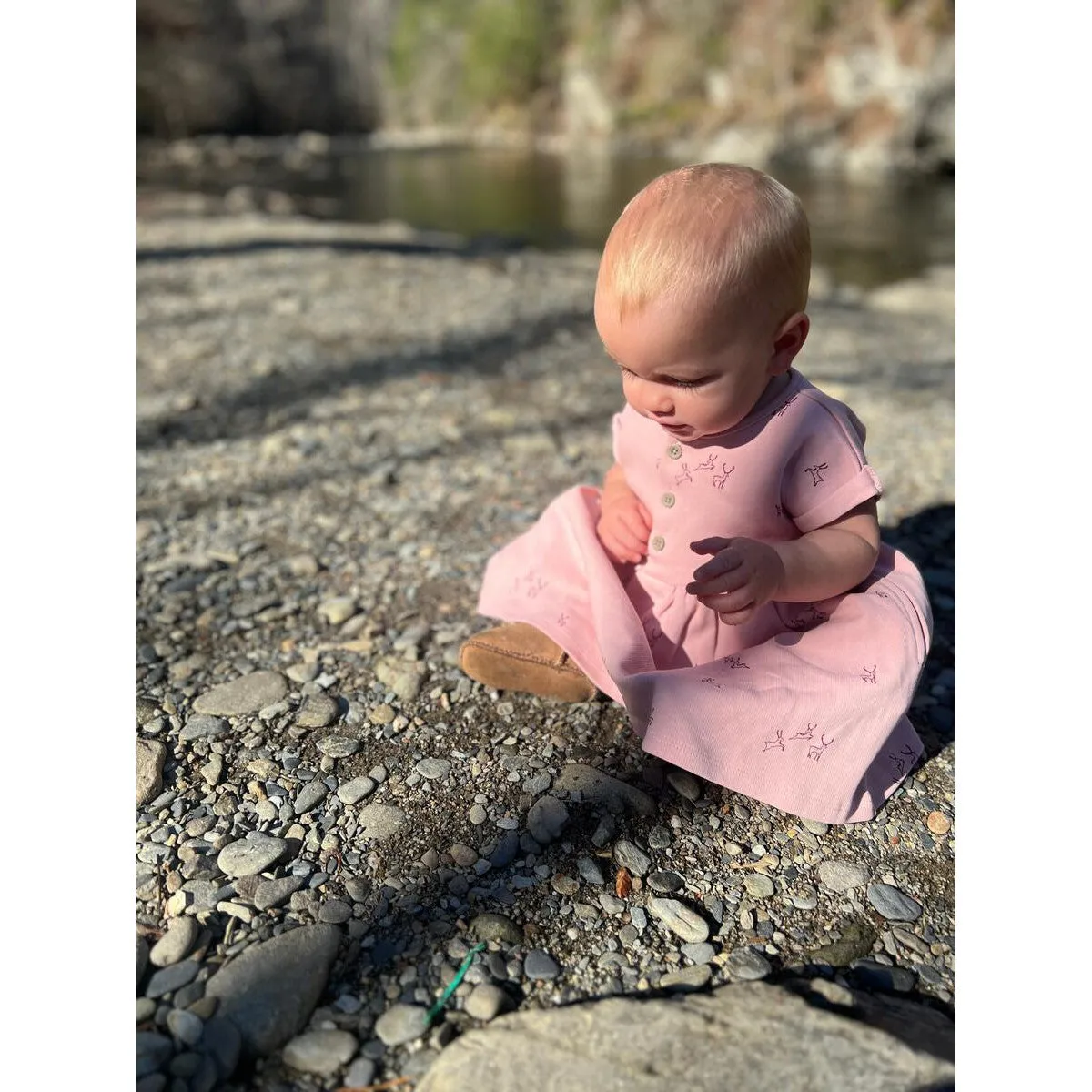 Ettie   H Chesten Dress in Pink Deer
