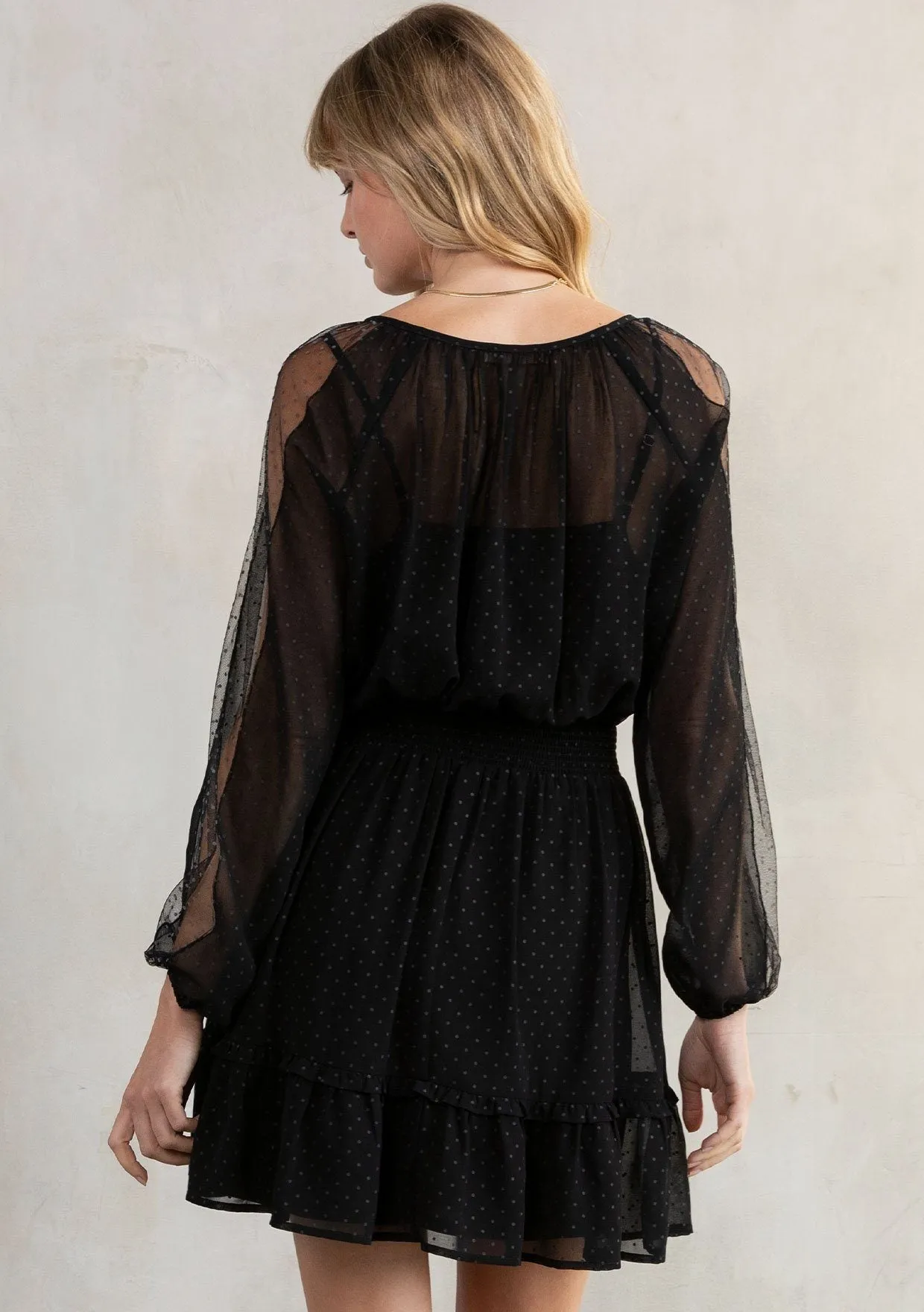 Iris Chiffon Mini Dress