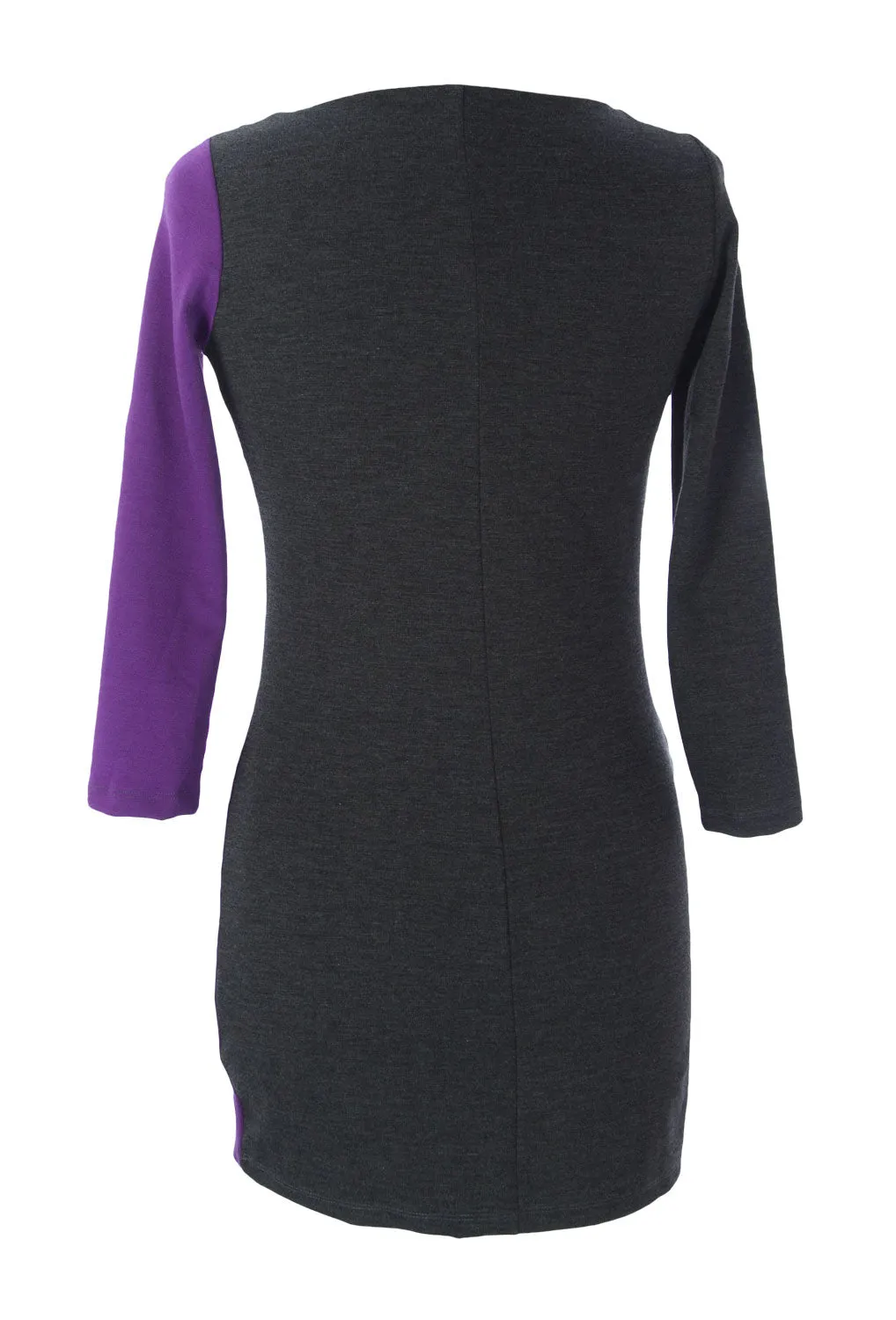 JULES & JIM Maternity Women's Color Block Dress Purple/Antracite