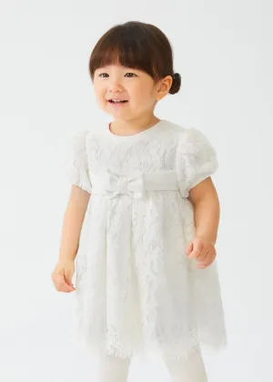 Lace Velvet Bow Dress