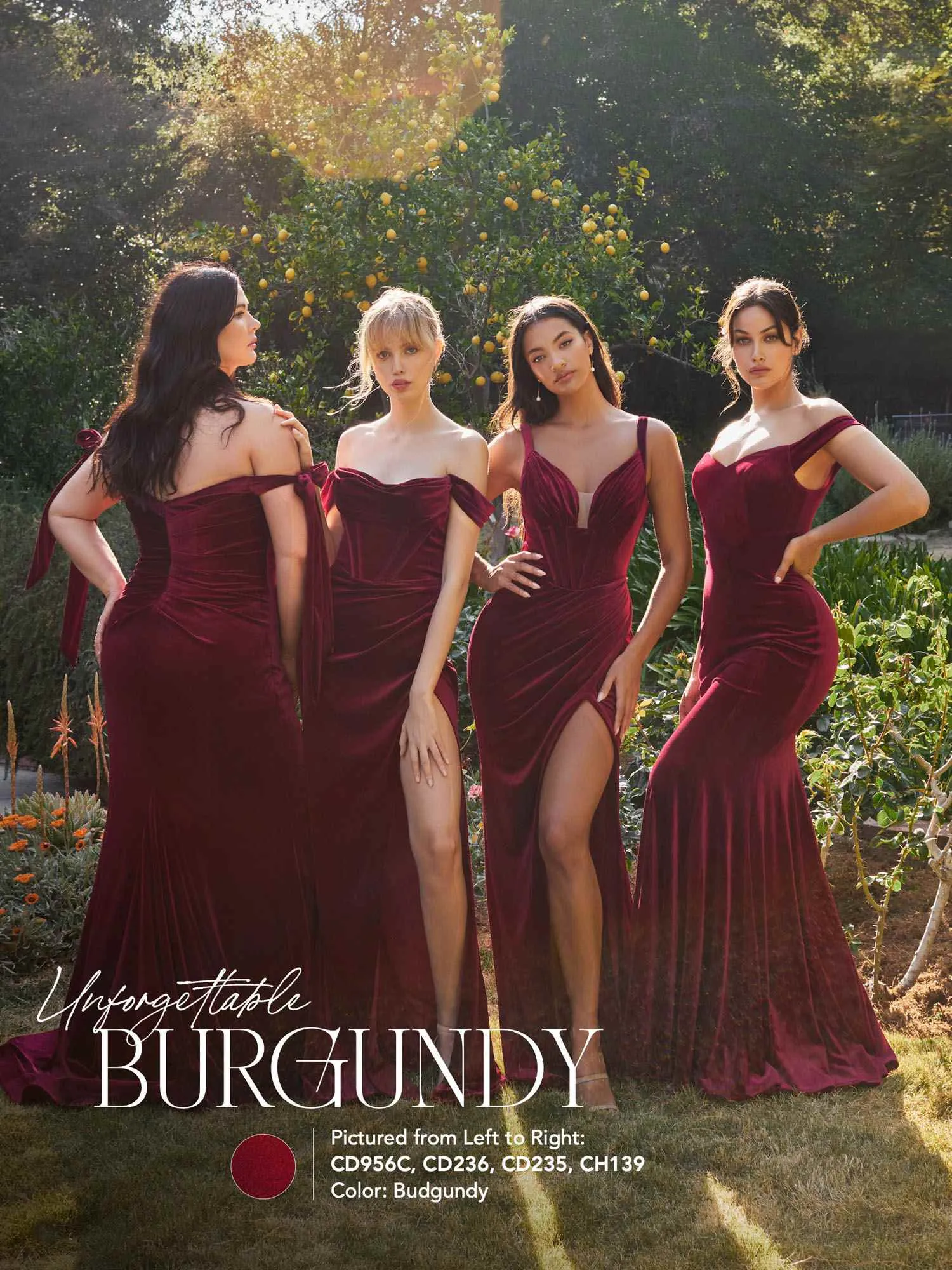Ladivine CH139 Long Off the Shoulder Fitted Velvet Gown