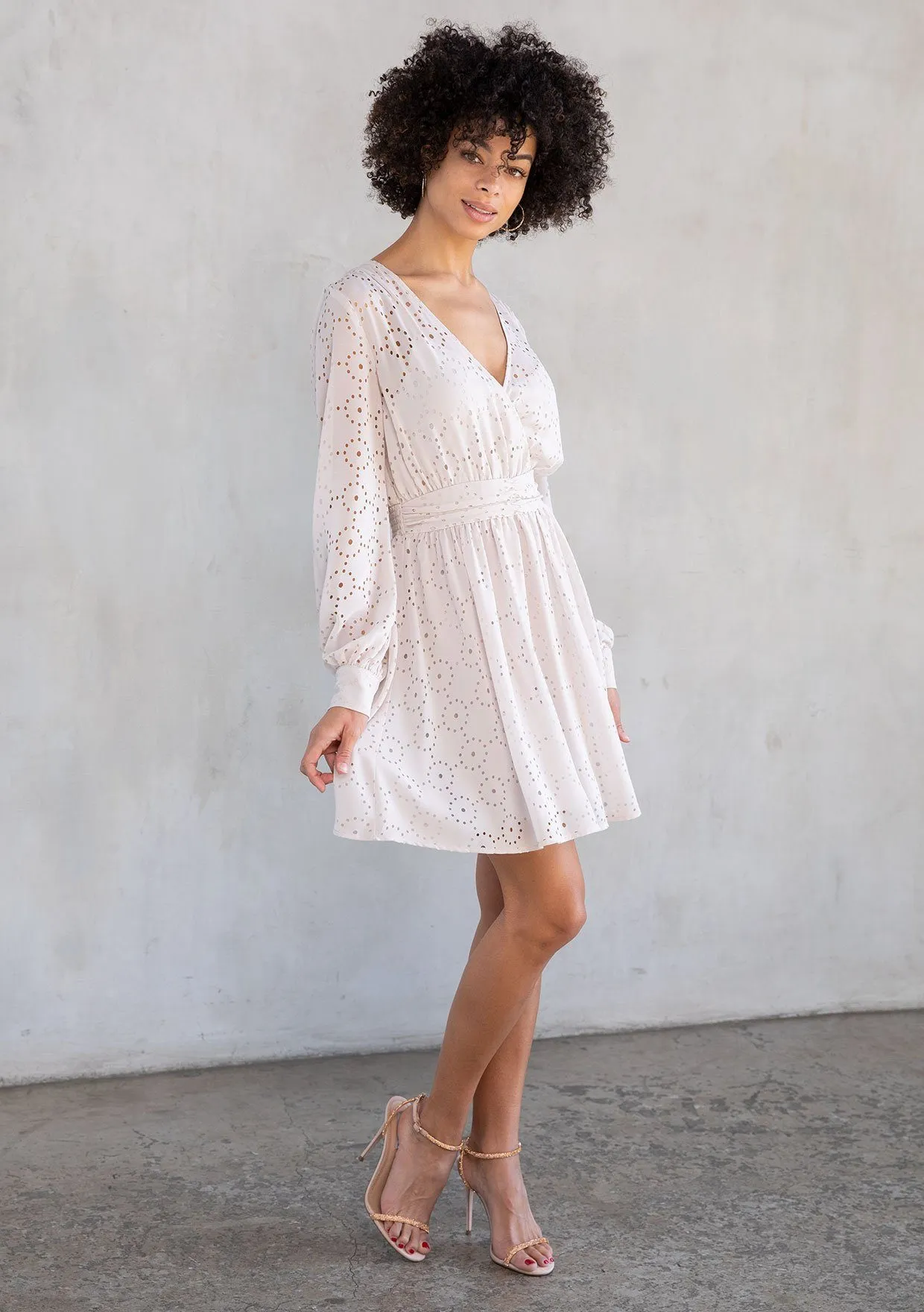 Lou Chiffon Mini Dress