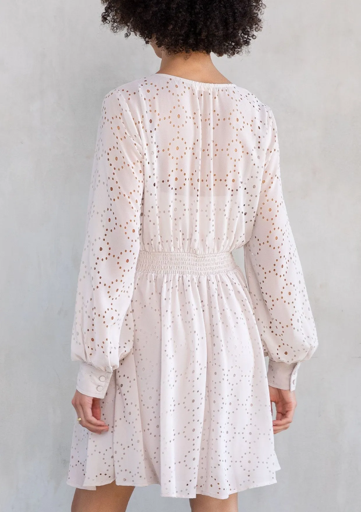 Lou Chiffon Mini Dress
