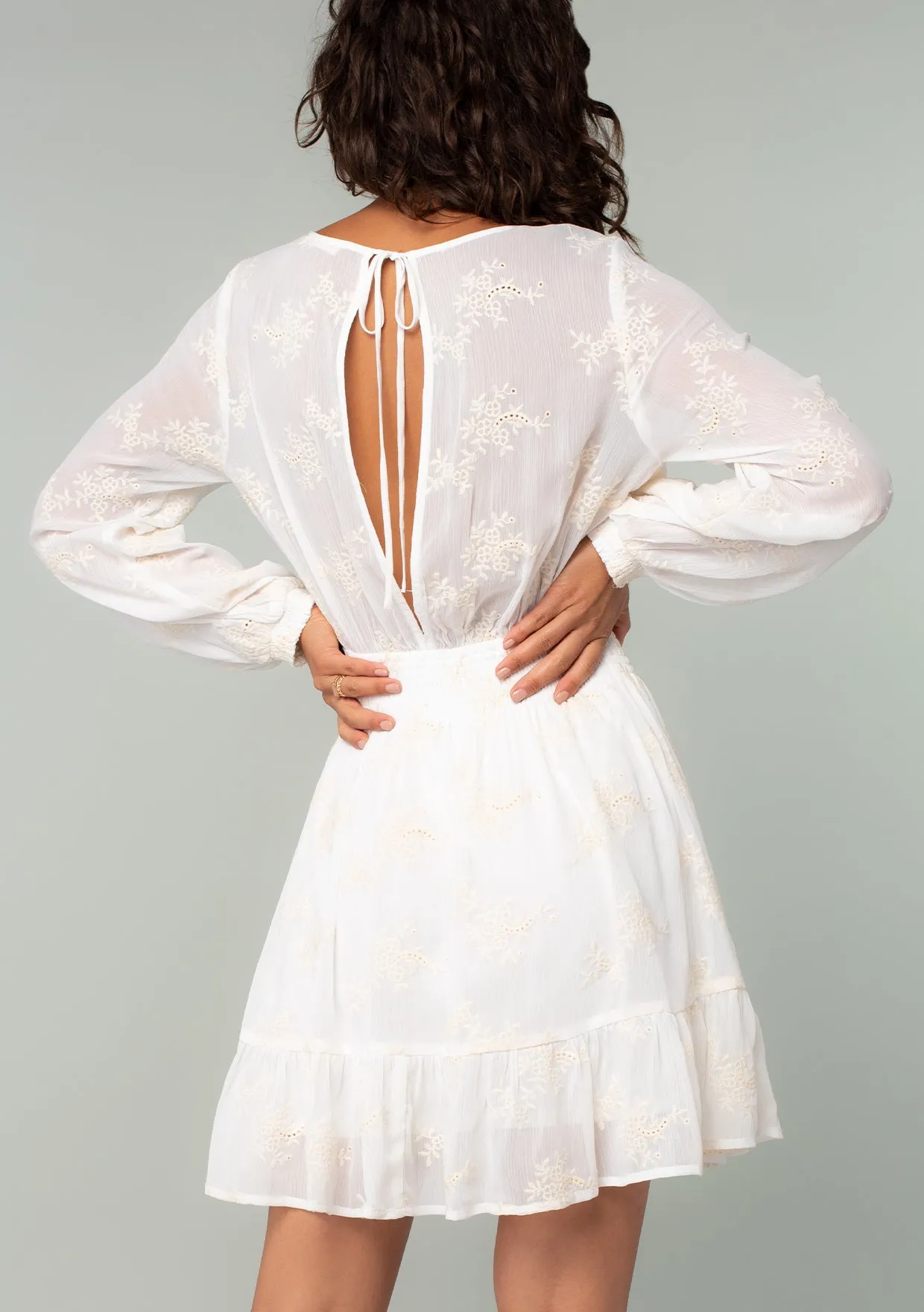 Olympia Embroidered Mini Dress