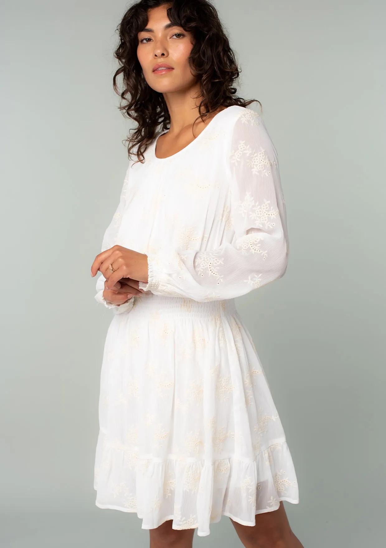 Olympia Embroidered Mini Dress