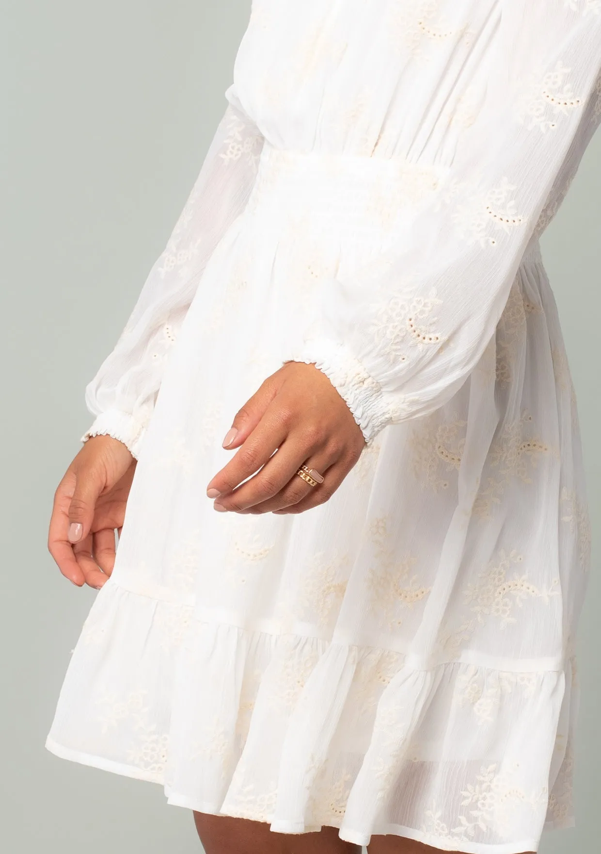 Olympia Embroidered Mini Dress