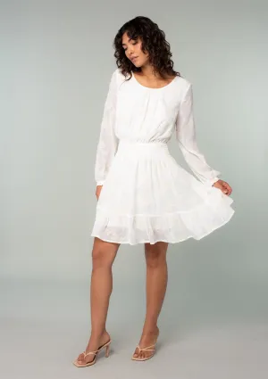 Olympia Embroidered Mini Dress