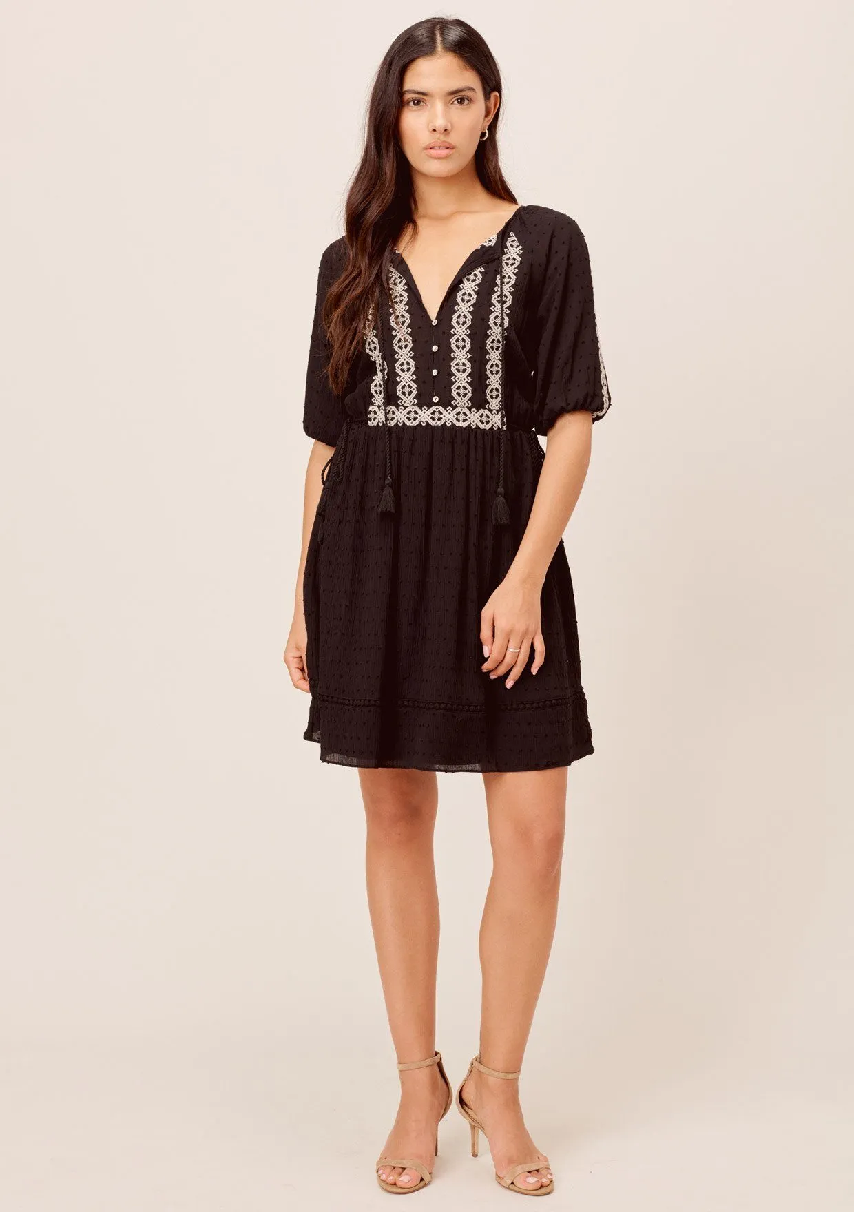 Penny Lane Embroidered Boho Mini Dress