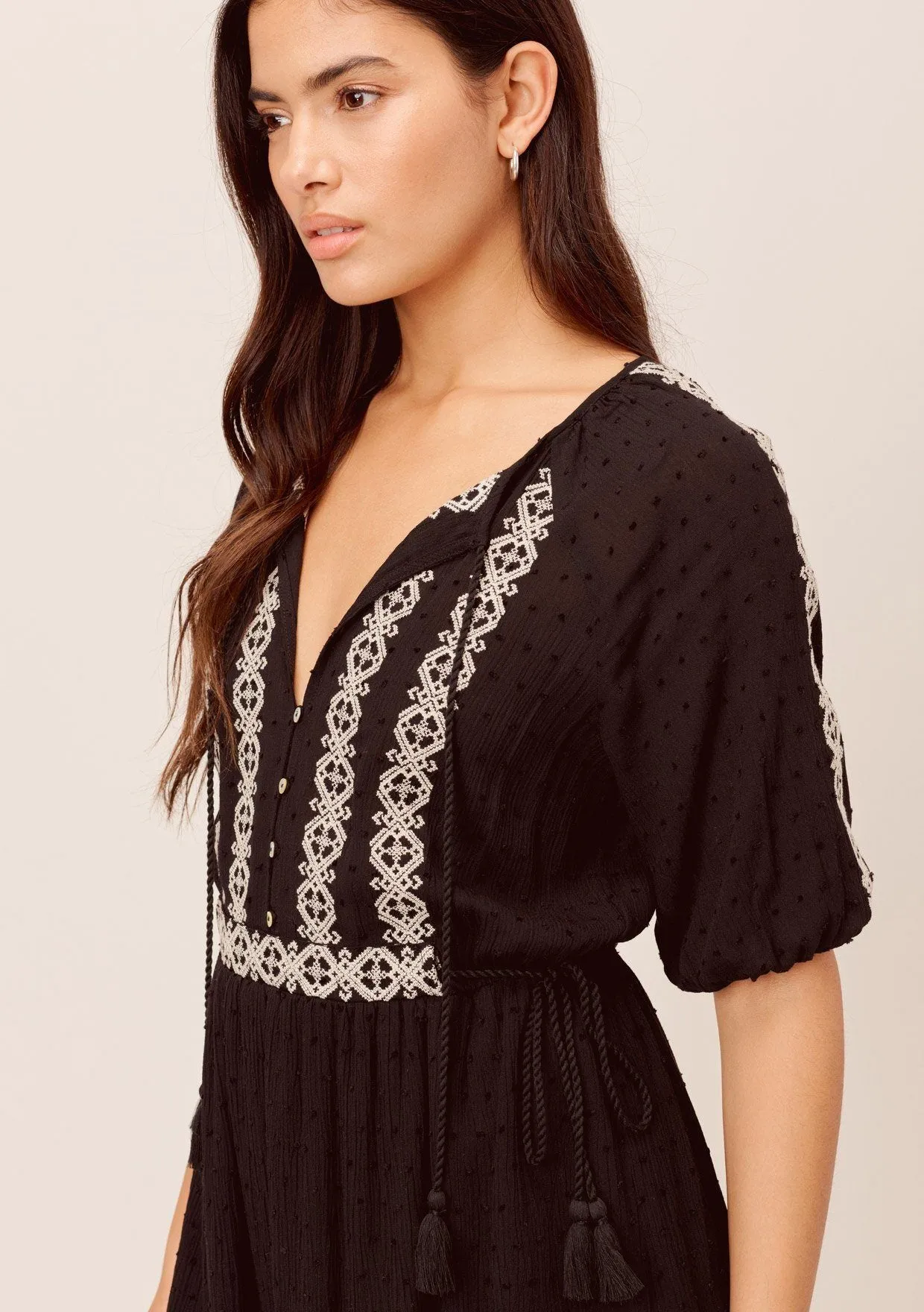 Penny Lane Embroidered Boho Mini Dress