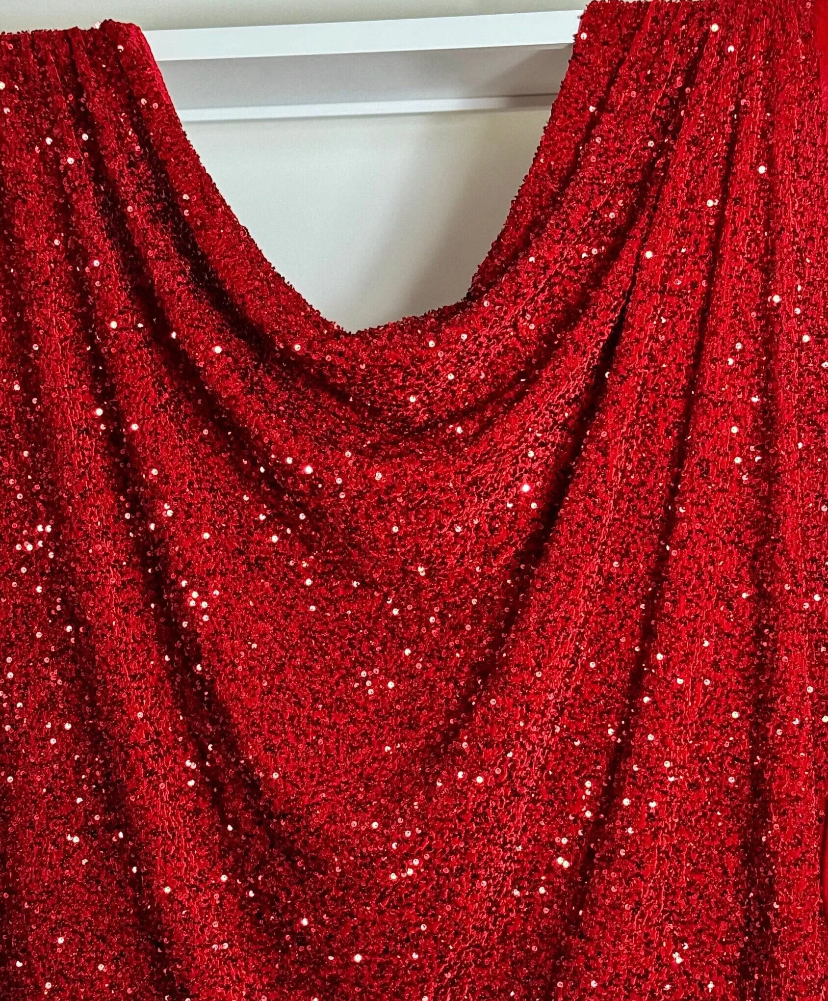 Red Sequined Velvet