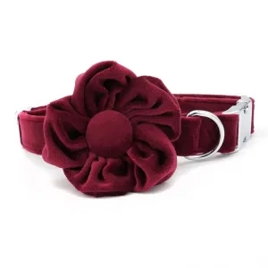 Red Velvet Vineyard: Personalized Collars and Leashes
