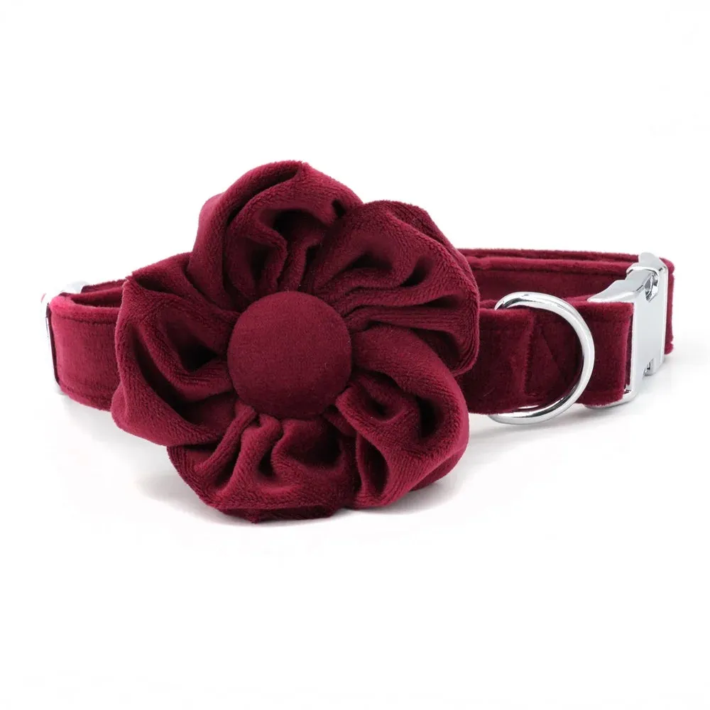 Red Velvet Vineyard: Personalized Collars and Leashes