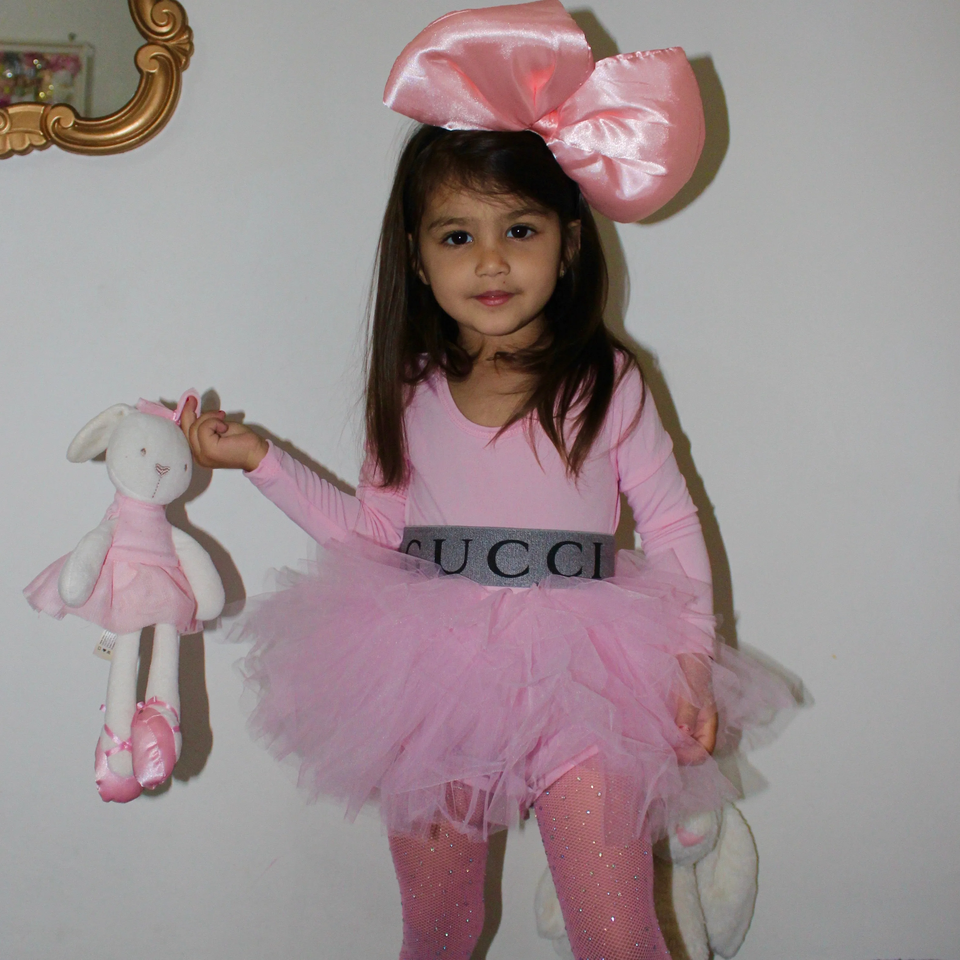 Tutu Dress Pink Long Sleeve